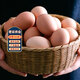 密之清田北京特產(chǎn)油雞蛋30枚現撿新鮮土雞蛋柴雞蛋散養鮮雞蛋