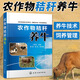 農(nóng)作物秸稈養(yǎng)牛 刁其玉 秸稈養(yǎng)牛技術(shù)書籍大全肉牛養(yǎng)殖書牛飼料配方繁殖母牛飼養(yǎng)管理牛羊技