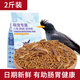 花卷寶寶鳥糧八哥飼料鳥飼料營養(yǎng)鷯哥鳥食海八黑八專用八哥糧鳥料八哥飼料 2斤