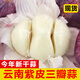 辰實【新干蒜】新鮮紫皮大蒜 云南獨頭蒜三瓣蒜 大蒜農(nóng)家蔬菜臘八蒜 5斤（三瓣蒜）