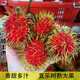 舅甜果蔬正宗海南紅毛丹（順豐空運可送到家）7號紅毛丹鮮果樹(shù)熟毛荔枝 5斤（凈重4.5斤） 臻選出口一級果
