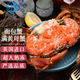 七冰東 面包蟹 熟凍滿(mǎn)黃面包蟹大螃蟹黃道蟹 海鮮水產(chǎn)生鮮 蟹類(lèi) 2只裝面包蟹 600-800g/只