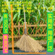 洪國棋竹掃把學(xué)校工地養殖場(chǎng)竹掃帚環(huán)衛水泥地稻谷工廠(chǎng)車(chē)間庭院馬路掃雪 中號六枝老絲