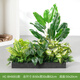 綠道Greenway仿真綠植造景花箱假花組合擺設景觀(guān)戶(hù)外植物盆栽隔斷室內裝飾陽(yáng)臺 HC-BH6001