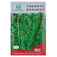 中蔬 中國農科院種子豇豆籽長(cháng)豆角菜園蔬菜種子翠豇長(cháng)豆角種子200克