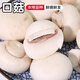 密水農(nóng)家本地自種 新鮮口菇 蘑菇蔬菜 食用菌小白菇 雙孢菇 口蘑 250g