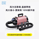 藍豚1090寵物吹水機寵物專(zhuān)用烘干機大功率狗狗吹風(fēng)機吹毛機大型犬專(zhuān)用 LT-1090A粉 無(wú)級變速 熱銷(xiāo)款