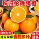 柏饞新鮮夏橙子薄皮榨汁商用應(yīng)季水果新鮮臍橙整箱批發(fā)手剝甜橙整箱送 9斤精品裝凈重8.5斤 70-75mm店長實(shí)惠推薦