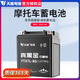 天能電池摩托車電池12v黑金石墨烯電瓶免維護(hù)干電池鈴木王豪爵車通用 【黑金石墨烯】YTX7L-BS