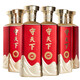 守天下守10酒500ml*一箱裝（6瓶） 守天下1整箱 53