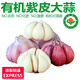 【有機】云南紫皮大蒜頭 多瓣蒜新干蒜時令生鮮蔬菜調(diào)味食材整箱 有機紫皮瓣蒜 1000g （單果4-6cm）