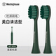 西屋電動(dòng)牙刷原裝刷頭2支裝 2支 【適配WT-301G升級款】