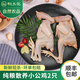 初土記無抗原種小公雞2只 林下散養(yǎng)公雞180天 走地雞新鮮小公雞 原產(chǎn)地 小公雞2只（凈重1.6-2.2斤）