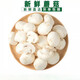 思蔬新鮮蘑菇250-2500g 口蘑食用菌菇白蘑菇 口菇 雙孢菇煲湯炒菜 500g