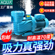 愛(ài)克游泳池循環(huán)水泵沙缸過(guò)濾泵吸污泵水處理設(shè)備大流量鐵泵耐腐蝕 活接葉輪等配件