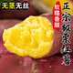 【現挖現發(fā)】山東正宗臨沂板栗紅薯新鮮地瓜番薯農家自種小香薯非 5斤 【大果】 新鮮|現挖現發(fā)