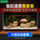 瘋狂水草千層石頭假山石英砂魚缸造景石材適合米家魚缸造景套餐全整套一體