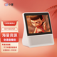小度8C智能屏 8英寸高清大屏wifi無線智能音箱網(wǎng)絡(luò)直播刷抖音家用觸屏藍牙音響 ai語音聲控助手機器人 小度智能屏8C白色 (1S升級版) 【官方標(biāo)配】【全國聯(lián)保】