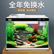 森森（SUNSUN）金麟超白魚缸桌面生態(tài)免換水金魚缸一體缸自循環(huán) 【升級自動喂食】480B 白色+水草景1+加熱棒