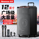 紐曼N520便攜廣場舞大功率重低音戶外K歌藍(lán)牙拉桿電木吉他民謠樂器音箱擴(kuò)音器擺攤喇叭雙麥適配器12吋