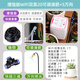 京小巴WiFi自動(dòng)澆花器家用定時(shí)出差智能?chē)娏莒F澆水神器手機遠程滴灌系統 增強版WiFi20可調+5萬(wàn)向快插套裝