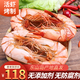 福建東山島九節蝦干即食斑節蝦干特大烤蝦對蝦干零食海鮮水產(chǎn)干貨 一斤（90-110只）