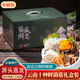 京地達(dá)云南特產(chǎn)新鮮菌類凈重2斤10種鮮菌菇組合禮盒裝菌子源頭直發(fā)包郵
