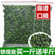 漠禾發(fā)1.5斤2025新茶鐵觀音濃香型茶葉散裝綠茶春茶袋裝烏龍茶750克 買一斤送半斤