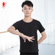 紅舞鞋 學(xué)生形體服舞蹈服練功服薄棉男士短袖現(xiàn)代舞服上衣成人訓(xùn)練T恤 黑色 4XL (185)