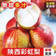 玫梔 碭山梨精品裝特級(jí)貢梨水果當(dāng)季整箱彩虹梨 5斤 彩虹梨 大果 精選果