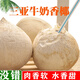 萊財多海南牛奶椰皇裝新鮮當季水果椰青椰汁椰白老椰子 9個