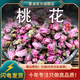 墨源桃花干花桃花干桃花山桃花桃花花瓣真桃花花苞蕾泡水新鮮干貨 桃花250克