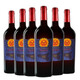 SETTESOLI意大利太陽(yáng)神黑達沃拉干紅葡萄酒 12個(gè)月橡木桶柔和飽滿(mǎn)果香餐酒 太陽(yáng)神6支