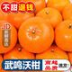 寄春（JICHUN）沃柑廣西沃柑大果新鮮當(dāng)應(yīng)季水果送禮孕婦柑橘子鮮甜多汁精果 5斤大果【精選裝】