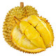 青尊園泰國金枕榴蓮 新鮮帶殼榴蓮應季水果熱帶鮮果進(jìn)口榴蓮巴掌榴蓮 金枕榴蓮 【單果3-3.5斤】