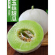 沐瑾正宗上海南匯玉菇甜瓜冰淇淋甜瓜新鮮當季水果整箱現(xiàn)摘 軟糯香甜 【超值】凈重10斤（4-6只裝）