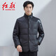 紅都冬季新品男裝中年羽絨服商務(wù)休閑立領(lǐng)保暖男士羽絨服外套 黑色LA9501-1 XL 180/96A