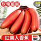  帆兒莊園 應(yīng)季水果紅皮美人香蕉新鮮水果生鮮 約2.5kg