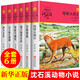 【套裝6冊】沈石溪系沈石溪動(dòng)物小說(shuō)全集系列天鵝紅珊瑚白象家族黑天鵝兒童四五六年級小學(xué)生課外閱讀全套