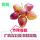 五彩椒廣西七彩椒新鮮小泡椒燈籠剁椒現(xiàn)摘現(xiàn)發(fā) 店長(zhǎng)：【1斤精裝大果】