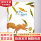風(fēng)中的樹(shù)葉 0-3-4-5-6-8歲兒童繪本 老師推薦幼兒園小學(xué)生課外書(shū)籍閱讀 父母與孩子的睡前親子閱讀