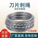 金蝎 熱鍍鋅刀片刺繩防護網(wǎng)刺絲滾籠帶刺鐵絲網(wǎng)V型支架防盜防爬刺繩網(wǎng) 高鋅30cm*單螺旋*10米/每米價(jià)格