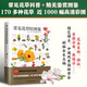 常見花草輕圖鑒  精選170多種常見花草，近1000幅精美彩圖，全面圖解，詳細介紹