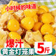 財(cái)萊樂(lè)姑娘果特產(chǎn)水果新鮮當(dāng)季整箱燈籠果黃菇娘洋東北姑娘果現(xiàn)貨甜菇?jīng)?凈重4.5斤精選裝