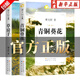 【教師指定版-人民文學出版社】青銅葵花曹文軒 青銅葵花曹文軒四年級下冊人民出版社 青銅葵花京東自營官方旗艦店 草房子 原版 完整版 兒童文學 青銅葵花 曹文軒 人民文學出版社京東自營官方旗艦店 【2冊