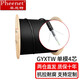 菲尼特 Pheenet光纜 GYXTW室外鎧裝光纜  架空管道光纖線纜  中心束管式光纜 可定制長度 單模4芯 100米