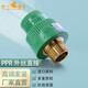 天一金牛（TIANYIJINNIU） 天一金牛 外絲直接 綠色PPR管材 PPR水管配件 外絲直接20/4分*1/2