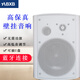 ABXB 無(wú)線藍(lán)牙壁掛音響套裝 店鋪用背景音樂(lè)有源掛壁喇叭重低音室內(nèi)掛墻式音箱門(mén)店商用 502藍(lán)牙主音響(白色)