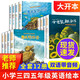 英語繪本三年級小學四年級課外閱讀少兒童英語漫畫讀本適合小學生讀的英文讀物大貓英語分級閱讀三四級1-2-3Big Cat兒童禮物圖書男孩女孩 小學生英語繪本三四五六年級中英雙語全12冊