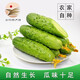 鮮姿東北旱黃瓜農(nóng)家自種新鮮現(xiàn)摘小青瓜蔬菜生吃脆蔬菜 旱黃瓜 5斤